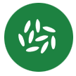 Image is not available