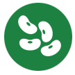 Image is not available